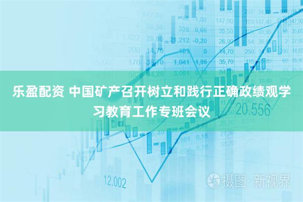 乐盈配资 中国矿产召开树立和践行正确政绩观学习教育工作专班会议