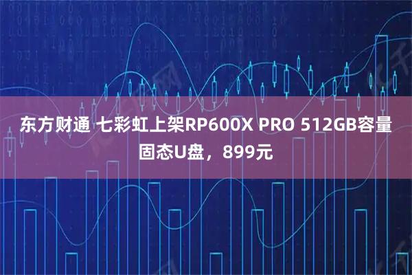 东方财通 七彩虹上架RP600X PRO 512GB容量固态U盘，899元